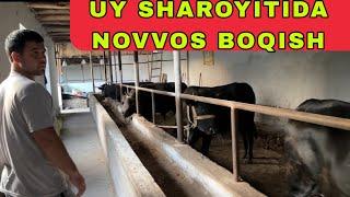 UY SHAROYITIDA NOVVOS BOQISH6 июля 2024 г.