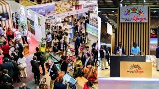 WATCH BEAUTY INSIDE MAGICAL KENYA TRAVEL EXPO 2024 OPENED BY PRESIDENT RUTO AT UHURU GARDENS