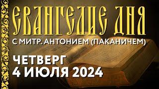 Толкование Евангелия с митрополитом Антонием (Паканичем). Петров пост. Четверг, 4 июля 2024 года.