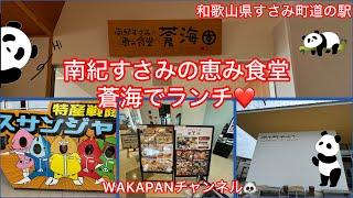 和歌山県すさみ町道の駅　南紀すさみの恵み食堂蒼海でランチ️WAKAPANチャンネル