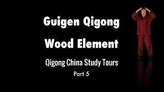 Guigen Qigong Wood Element - Xiyuan Hospital Beijing - Qigong China Study Tours