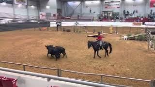 2022 Extreme Cowboy Race by Craig Cameron: Green Mustang Division FINALS Erika Hunter on Bocephalus
