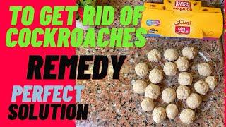 Kitchen mein Cockroaches se pareshan hain| Wonderful Result| The tried and tested remedy
