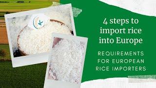 How to import rice into Europe | Requirements for European rice importers