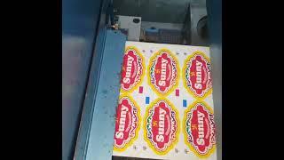 IWASAKI LDUE 200 FLATBED 3 COLOR LABEL PRINTING MACHINE | KAMATCHI MACHINERY | +919842985143 #shorts