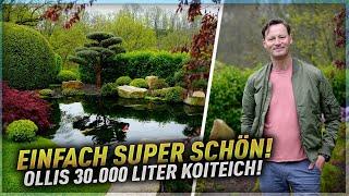 Gnadenlos schön! Ollis 30.000 Liter Koiteich mit Bürstenfilter!