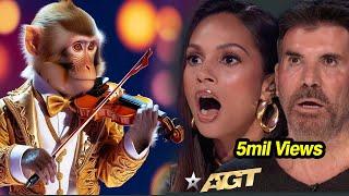 First Monkey to Play an INSTRUMENT on AGT! Emotional Audition | Everyone Tears #agtmagic #viralvideo