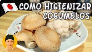 Como limpar cogumelos shiitake e shimeji