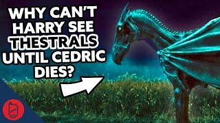 Why Couldn't Harry See The Thestrals? [Harry Potter Theory]