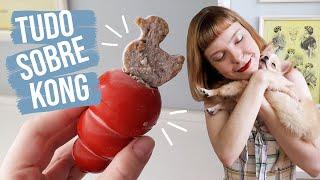 Tudo sobre Kong para cachorros + 2 receitas simples de recheio!