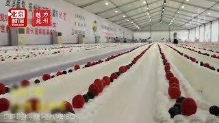 Huge 3.1km cake breaks world record in China