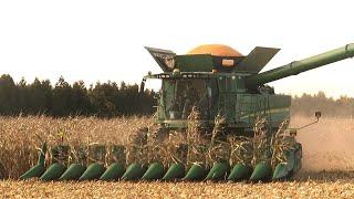 Corn Harvest 2020 | John Deere S790 Combine Harvesting Corn | Ontario, Canada