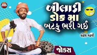 GUJARATI JOKES - બિલાડી ડોક માં બટકું ભરી ગઈ