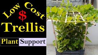 Low cost, DIY Plant Trellis idea | Homemade Plant support idea | Banani's Garden