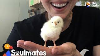 Woman Falls In Love With Chicken Rescued From NYC Streets | The Dodo Soulmates