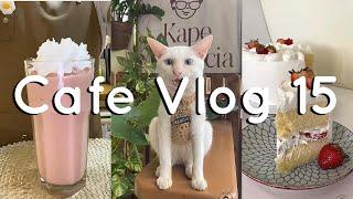 Cafe Vlog 15 ️ Sergio the Cafe Cat | New cake flavor? | Coffee & Cakes