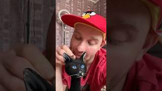 КОПИЛКА (смешное видео, юмор, приколы, поржать, вайны, прикол)