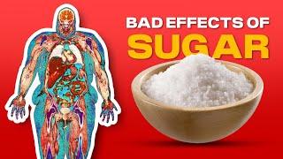 How Sugar is as Addicted as Alcohol