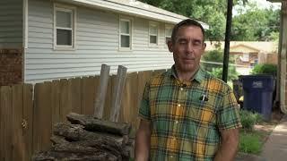 Preparing Firewood for Winter