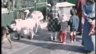 渋谷 東急百貨店 東横店 屋上 動物園 1975年頃