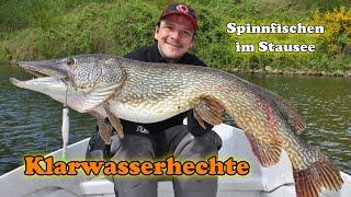 Klarwasserhechte! Spinnfischen auf Hecht in klarem Wasser eines Stausees!