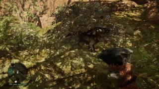 Kitty on crack! | Farcry Primal