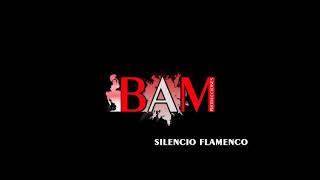 Lanzarote Silencio Flamenco Show