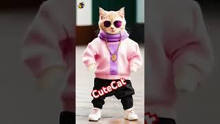 CuteCatDance#shorys#viralvdio #shortsfeed #traindingvideo #aicatdance 🫀