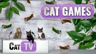 CAT Games | The Great Grasshopper Game | Cat TV 4K | Bug Videos For Cats to Watch |  