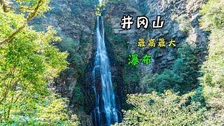 井冈山大山峡谷，藏着一条井冈山最高的瀑布【到远方旅行】.mp4