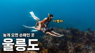 단언컨대 한국에서 가장 다이나믹한 섬 왜 이제서야 왔을까요? [울릉도 마지막편] Freediving in Ulleungdo, Korea(ENG)