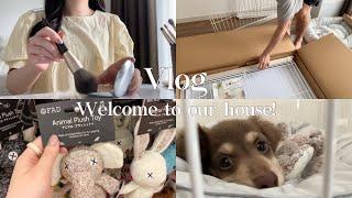 【vlog】子犬を迎えた週末の2日間vlog | 夫婦の日常