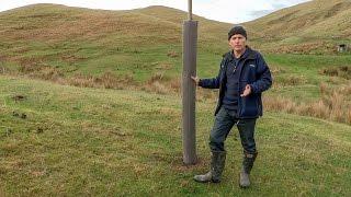 Successful Planting of Poplar & Willow Poles