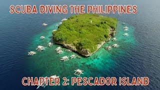 Scuba Diving The Philippines - Pescador Island #moalboal  #pescadorisland #scubadiving