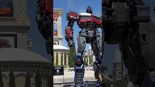 Life size statues of Mirage, Optimus prime and Optimus primal! Subscribe for more!