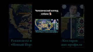 Умный взгляд собаки  #собака #человек #взгляд #душа #реинкарнация