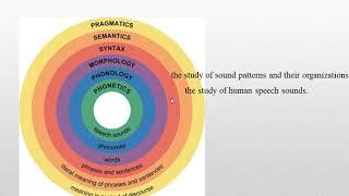 The internal scope of linguistics