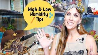 8 Tips to Help with Humidity in Your Hermit Crab Tank!