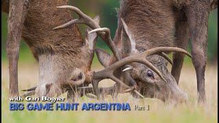 Hunt red deer in Argentina ️+= Big Red deer