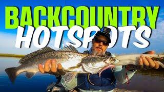 Winter Redfish & Trout SECRETS (Best Areas & Lures Revealed!)