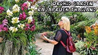 Orchid Garden Rajapruek Thailand