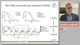 Convergent Mechanisms of Longevity | Prof Adam Antebi