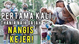 The Onsu Family - Thania nangis kejer naik GAJAH!