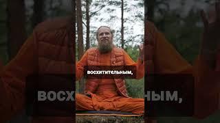 Много ли на земле просветлённых?