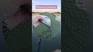 Женская рыбалка #рыбалка #fishing #влог #озеро #fishingvideo #подлещик #удочка
