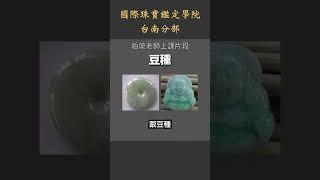 台南翡翠玉石鑑定教學丨翡翠鑑定教學丨翡翠的種水沒有統一標準 #翡翠種類 #翡翠 #shorts #jadeite