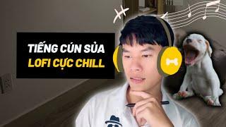 Tổng hợp tiếng chó sủa lofi - Làm quen tiếng cún con sủa