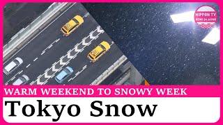 Snowfall in Tokyo causes traffic and delays