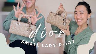 Dior Small Lady D-Joy | In-Depth Review, What Fits, Mod Shots, Shopping Experience