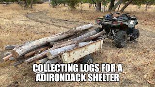 Going Around the Ranch Collecting Logs for an Adirondack Shelter